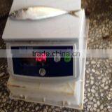 Pacific Mackerel for Bait thumbnail-5