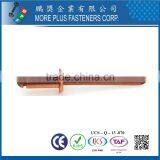 Made in Taiwan Steel Stainless Steel Copper Color Pop Special DIN 7337 Blind Flat Head Rivet thumbnail-2