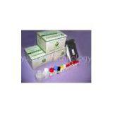 Infectious Bronchitis IgG ELISA Test Kit thumbnail-1
