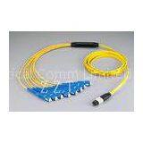 Single Mode MPO MTP Patch Cord Cable Assemblies With IEC-61754-7