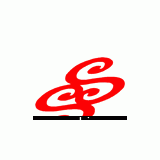 Shenghong Group Co., Ltd.
