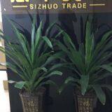 Guangzhou Sizhuo Trading Co.,Ltd. company overview - view 1 thumbnail