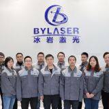 Luoyang Bingyan Laser Equipment Co.,Ltd company overview - view 2 thumbnail