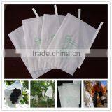 Factory Price Different Size Fruit Growing Bag thumbnail-1