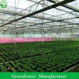 Garden Greenhouse for Sale