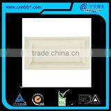 Biodegradable Disposable 10'*5' Rectangle Plate for Food Packing thumbnail-1