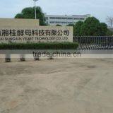Guangxi Sungain Yeast Technology Co., Ltd. company overview - view 2 thumbnail