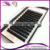 Best Price for Silk Eyelash Extension With OEM Service