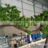 Large Size Factory Direct Sale Decorative Artificial Welcome Pine Tree for Garden Landscaping thumbnail-2