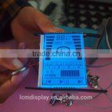 Custom Blue Led Backlight See Through Lcd Display Panel for Car Audio