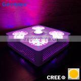 CXA 3070 COB LED Grow Light 300w