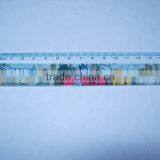 Art Accessory Ruler thumbnail-1