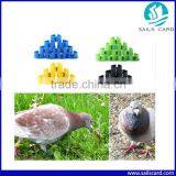 Four Color Customized Pigeon Foot Ring