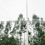 High Mast Lighiting Pole Supplier