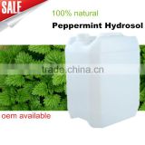 Suprising price for Natural Still Peppermint hydrosol water skin care