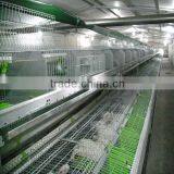 Automatic Rabbit Equipment thumbnail-2