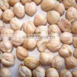 TASTY INDIAN CHICK PEAS thumbnail-2