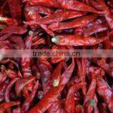 Red Chilli Available... thumbnail-2