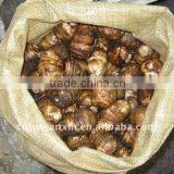 50g Fresh Taro Market thumbnail-1