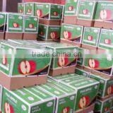 Hot Sale Chinese Fuji Apple thumbnail-6