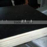 Black Film Poplar Core mr Glue Formwork Plywood for Construction thumbnail-1