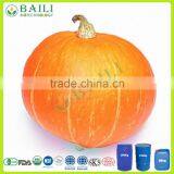 Various Vitamins Plant Extract Vegetable Oil Organic Pumpkin Seed Oil Omega 6 thumbnail-1