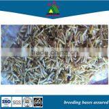 Dried Grubworm thumbnail-1