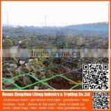 Best Anti Pigeon Hdpe Netting , Anti Bird Protection Net , Plastic PE Anti Bird Netting thumbnail-4