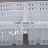 Plastic young bird transport box for chicks