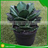 Potted Artificial Mini Succulent Plant for Decoration thumbnail-3