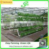 Hot Sale Greenhouse Hydroponic Culture Tray/system for Vegetables thumbnail-2
