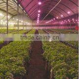 VANQLED Led Flowering Light,grow Light for Edelweiss,18w E27 Led Flowers Lights thumbnail-2