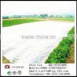 [ Factory Supply ] S / SS Spunbond Agriculture Nonwoven Cover Fabric for Ground Cover / Plant Cover thumbnail-6