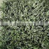 Fire-proof and UV-proof Artificial Grass Plastic Graden Fence thumbnail-5