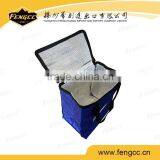 Outdoor Fitness Insulated Cooler Bag, 6 Pack Cooler Bag thumbnail-4