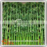 Hot Sale Factory Cheap Price Artificial Bamboo Tree Customized Fake Artificial Bamboo Plastic thumbnail-2