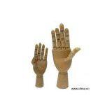 Sell Hand Model thumbnail-1