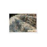 Gabion Box thumbnail-1