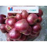 Dried RED PURPLE ONION Vietnam 2016 (Jolie Whatsapp Viber 84 98 358 7558) thumbnail-3