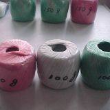 PP String thumbnail-2
