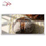 CE Carbon Crystal Wall Mounted Infrared Panel Heater thumbnail-4