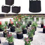 Eco-friendly Durable Garden Felt Plant Grow Bag thumbnail-4