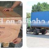 MoPao300E Metallographic Grinding and Polishing Machine With Touch Screen thumbnail-7