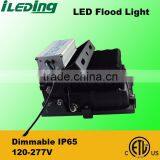 Hot Sale 70W 6100lm 4000K 5000K Replace Metal Halide Flood Light thumbnail-2