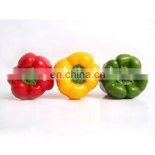 Chinese Price Frozen Red Pepper Frozen Bell Pepper With Good Quality and Moderate thumbnail-4