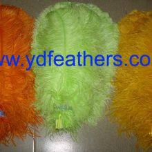Ostrich Feather Mix Colour From China
