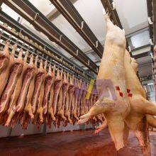 Hog Slaughter Line Pig Killing Machine Carcass Chilling Room For Slaughtering Equipment thumbnail-2