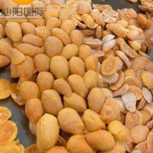 Premium IQF Frozen Mango Halves for Retail and Wholesale Distribution thumbnail-1