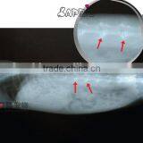 Medical Thermal x Ray Film,x Ray Blue Film ,medical Lab Analyzers thumbnail-1