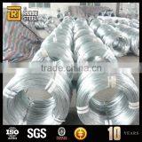 Electro Galvanized Steel Wire thumbnail-3